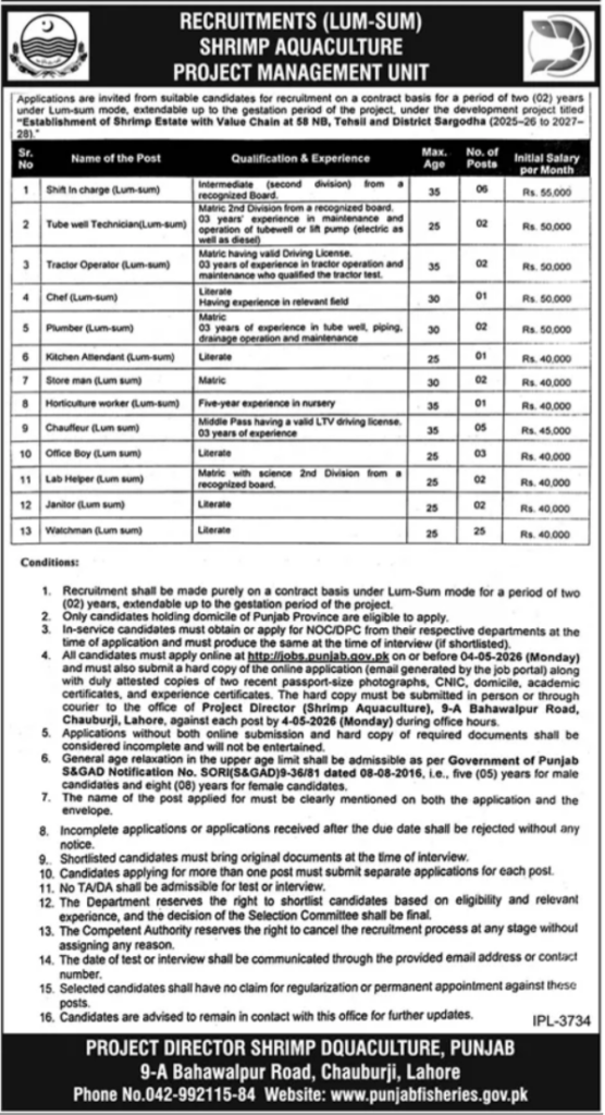 PMU Lahore Jobs 2026 – Latest Management Vacancies Apply